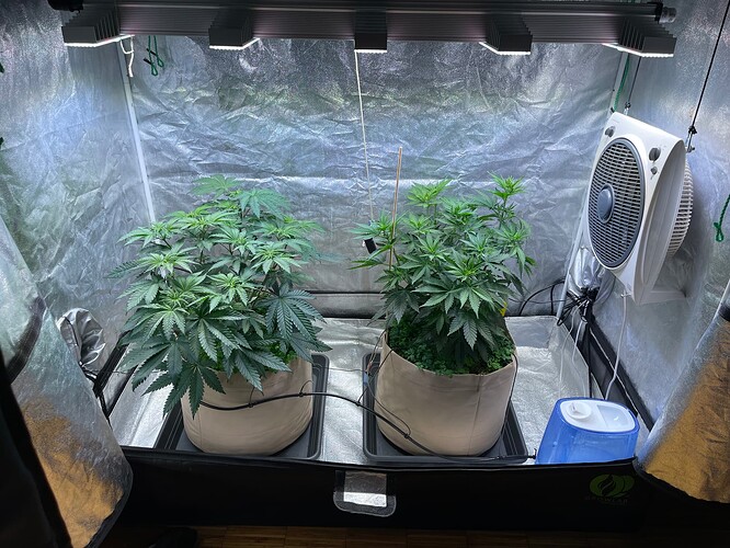 Growreport Bild 1