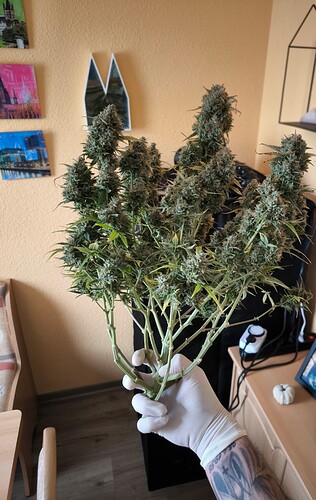 Growreport Bild 12