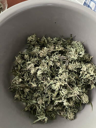 D51E0258-5E09-40D0-8E0F-99D02F9F7977