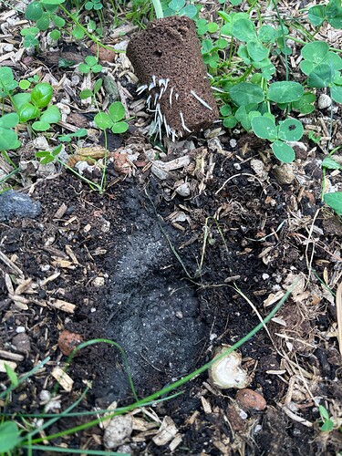 Growreport Bild 16