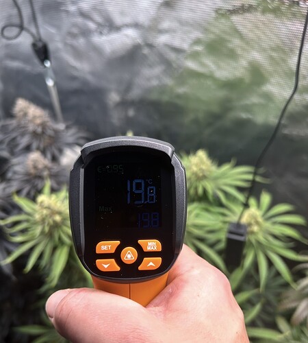 Growreport Bild 26