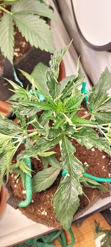 Growreport Bild 2