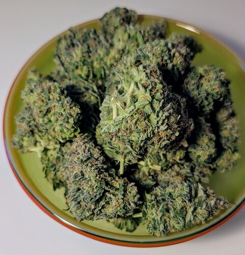 Growreport Bild 11