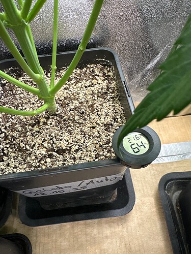 Growreport Bild 11