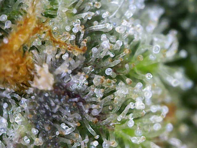 Growreport Bild 10