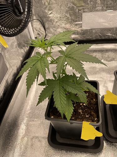 Growreport Bild 10