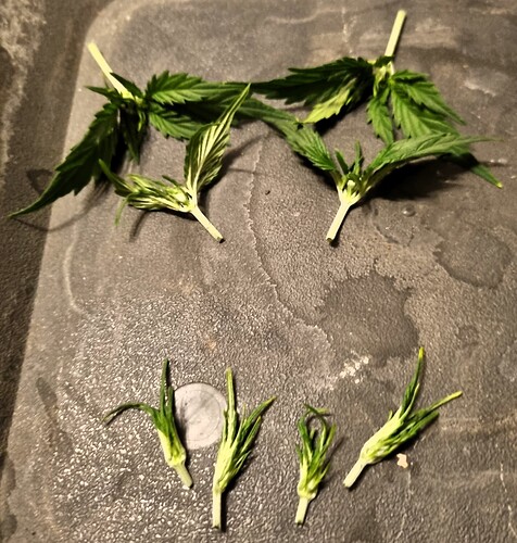 Growreport Bild 6