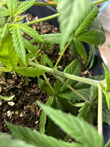 Growreport Bild 6