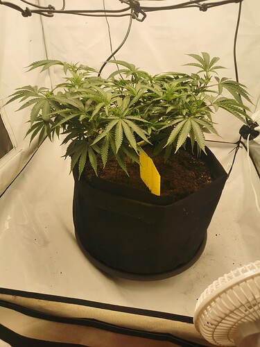 Growreport Bild 11