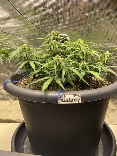 Growreport Bild 22