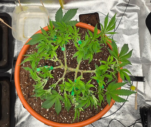 Growreport Bild 12