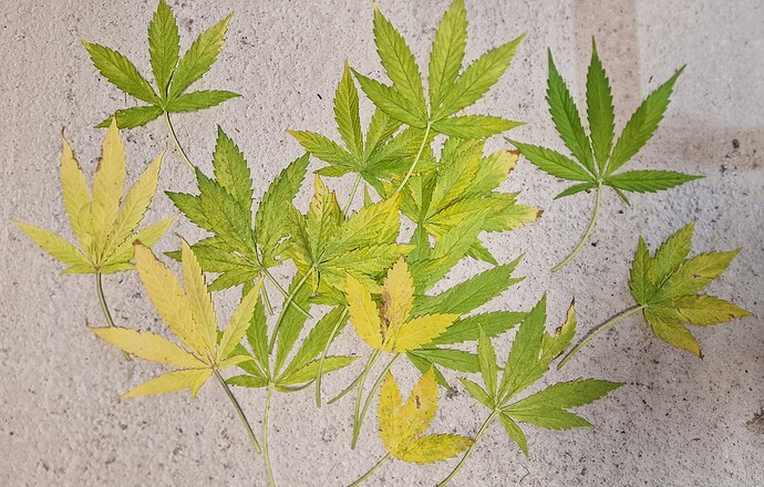 Growreport Bild 7