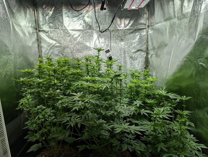 Growreport Bild 8