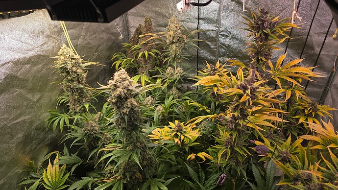 Growreport Bild 6