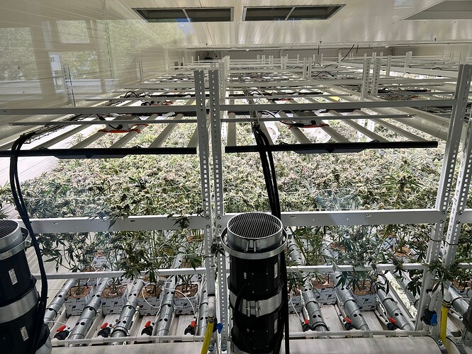Growreport Bild 18