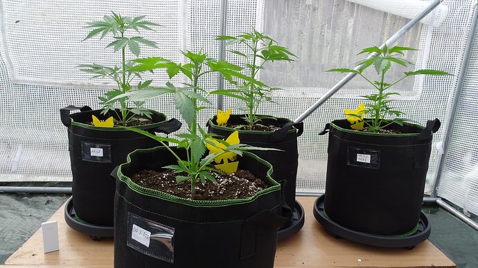 Growreport Bild 13