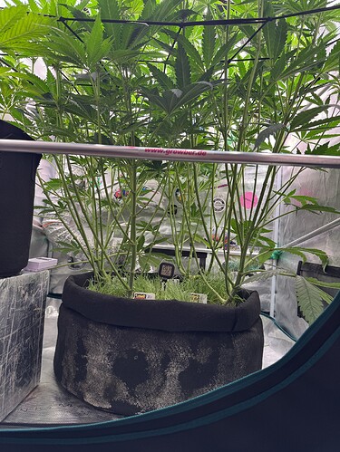 Growreport Bild 8