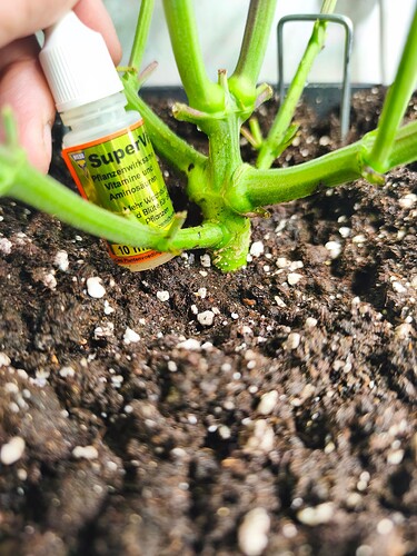 Growreport Bild 6