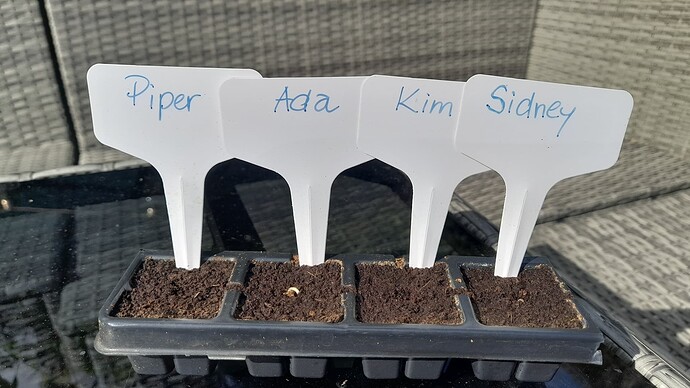 Growreport Bild 25