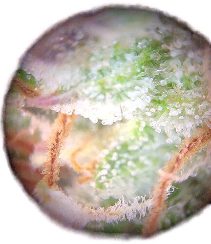 Growreport Bild 18