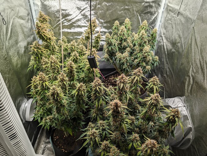Growreport Bild 16