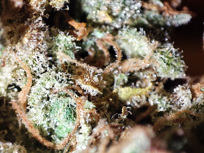 Growreport Bild 19