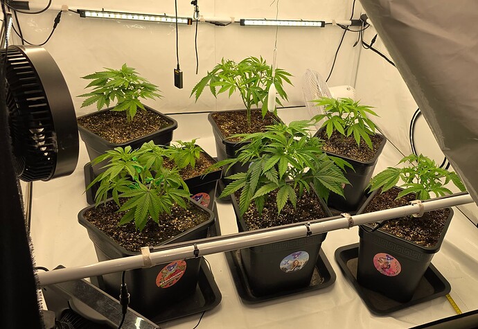 Growreport Bild 24