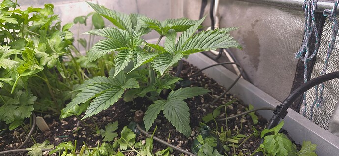 Growreport Bild 18