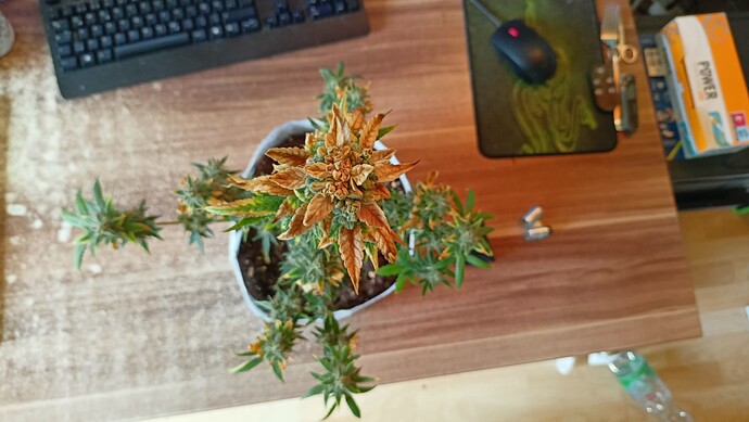 Growreport Bild 8
