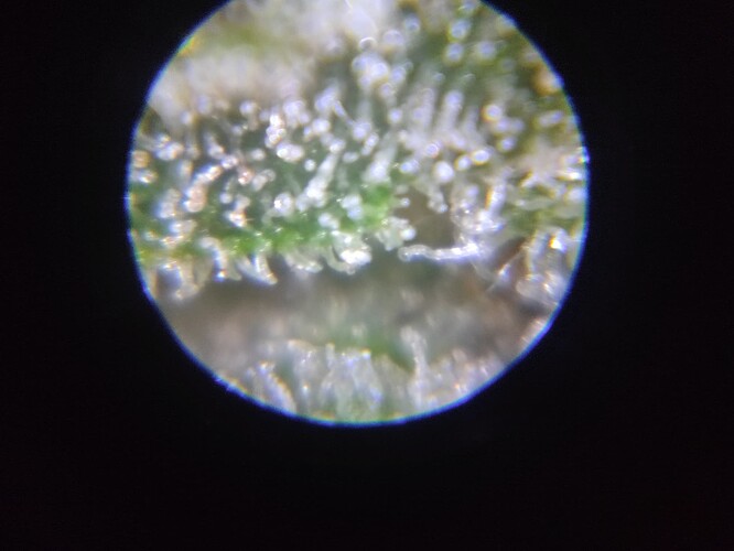 Growreport Bild 4