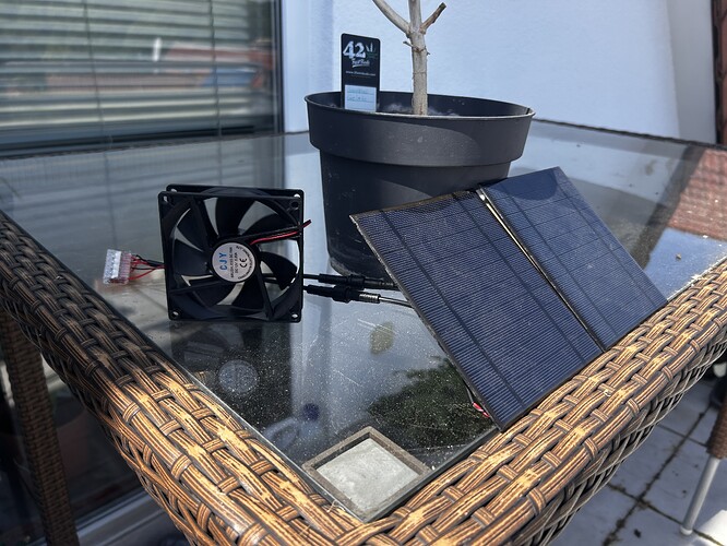 Growreport Bild 36