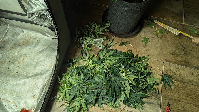 Growreport Bild 2