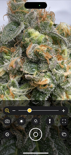 Growreport Bild 10