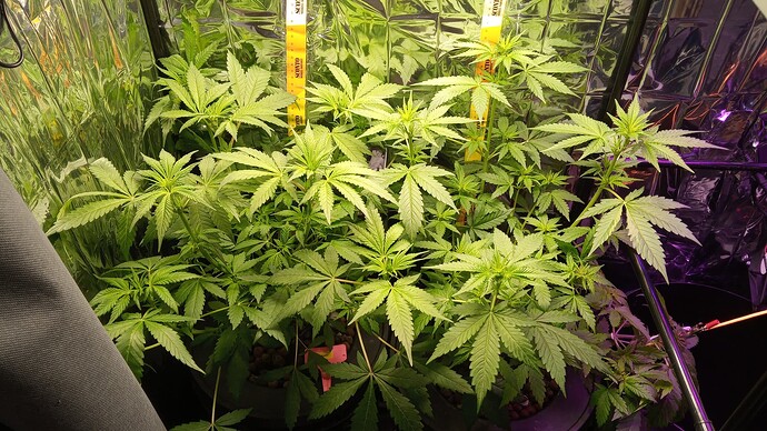 Growreport Bild 6