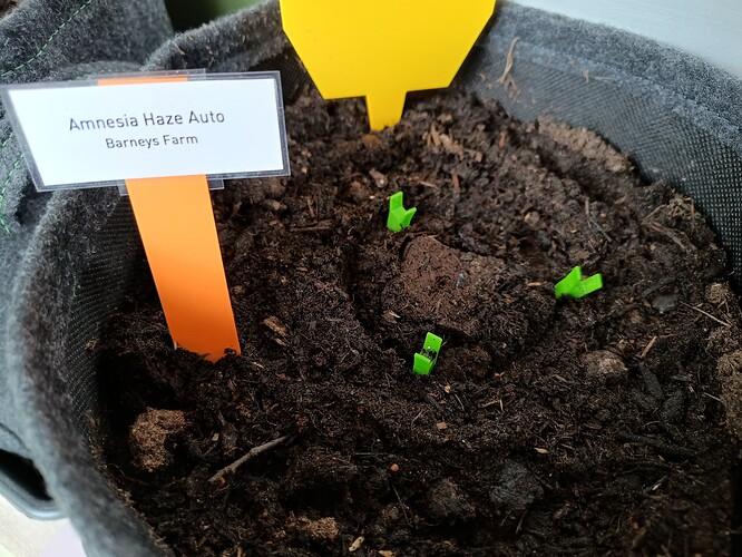 IMG_20240410_124720998_HDR