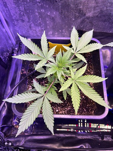 Growreport Bild 22