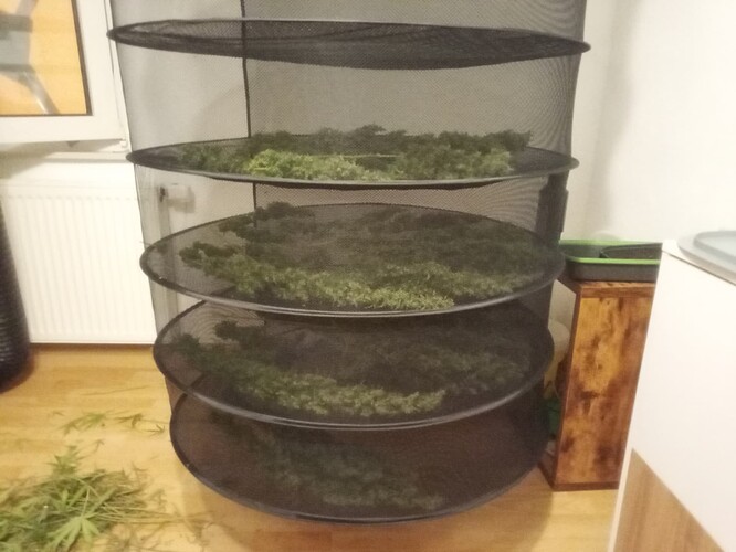 Growreport Bild 18