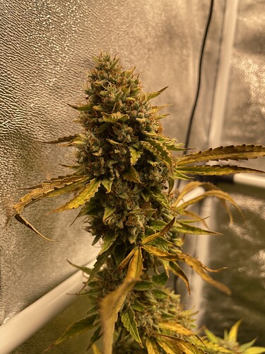 Growreport Bild 21