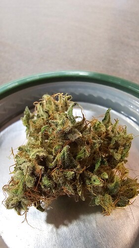 Growreport Bild 5