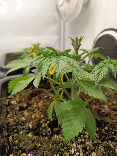 Growreport Bild 5