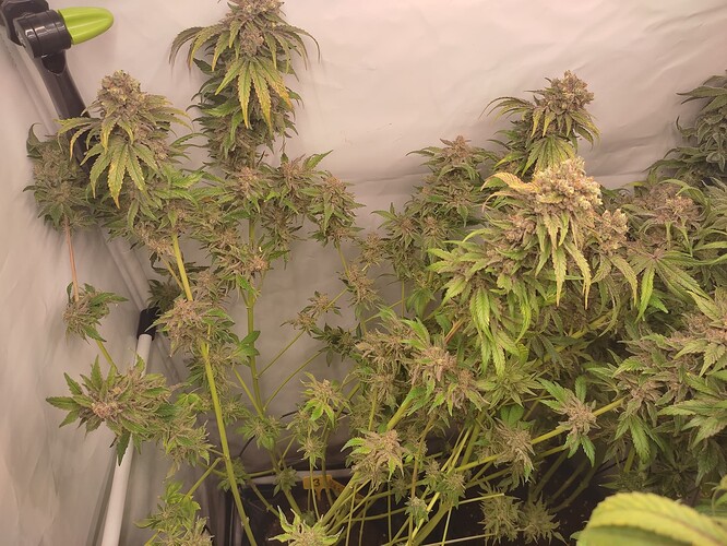 Growreport Bild 30