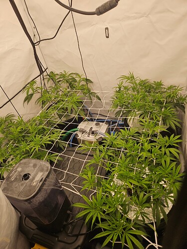 Growreport Bild 5