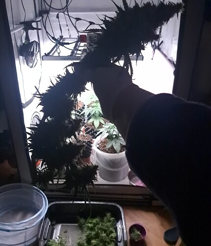 Growreport Bild 18