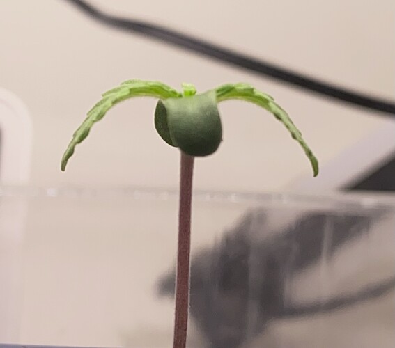Growreport Bild 5