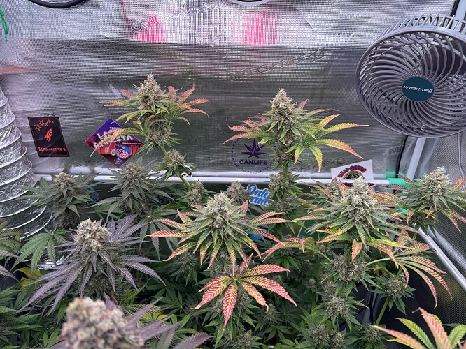 Growreport Bild 5