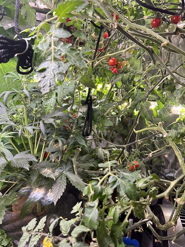 Growreport Bild 12