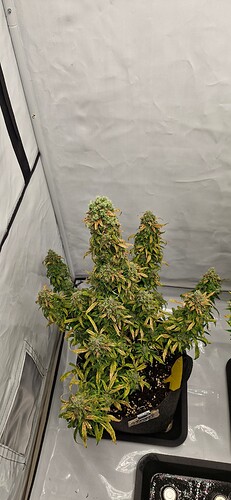 Growreport Bild 14
