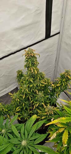 Growreport Bild 20