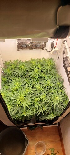 Growreport Bild 11