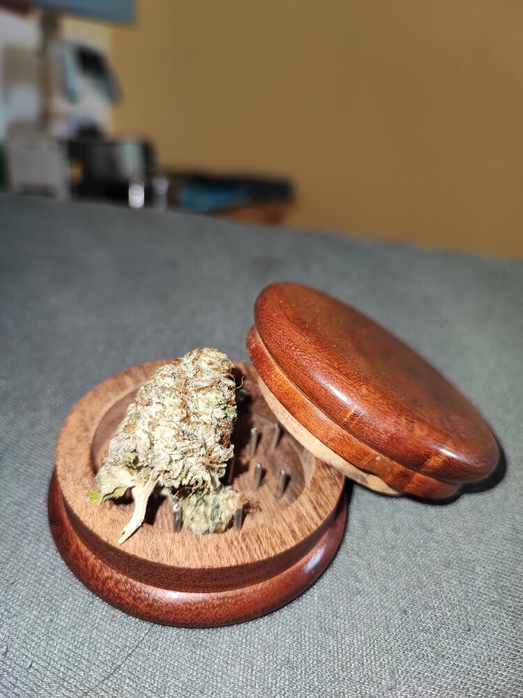 Von Chiquita Bananen zu Mandarinen Cookies von Alchimia Summergrow
